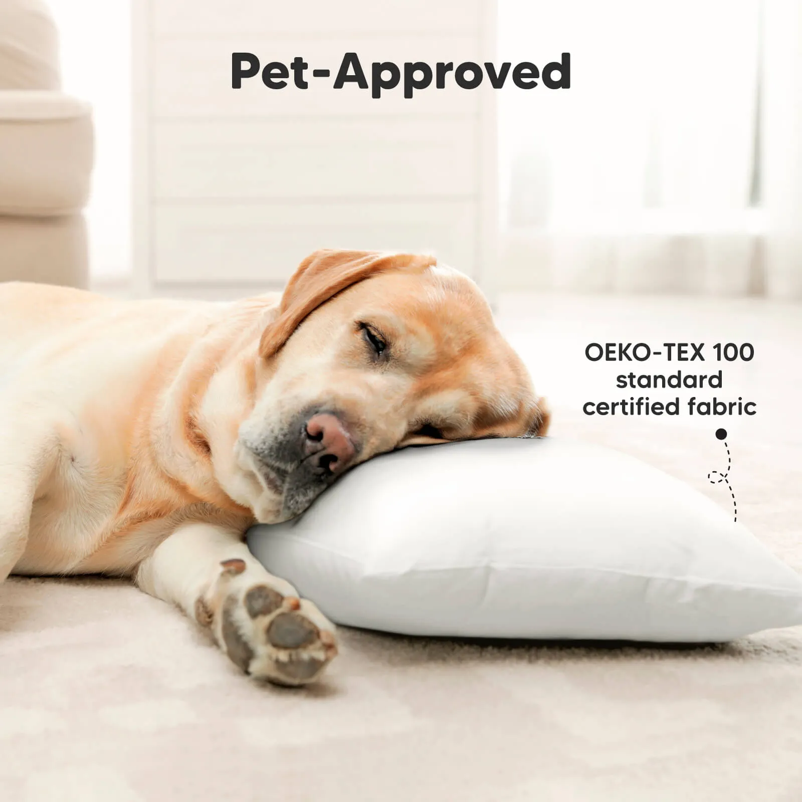 2-Pack Toddler Pillows