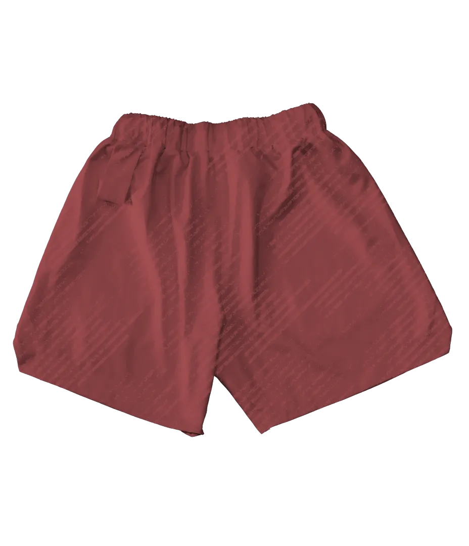 Astro Dust Core Shorts