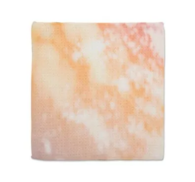 Dish Cloth - Set of 3